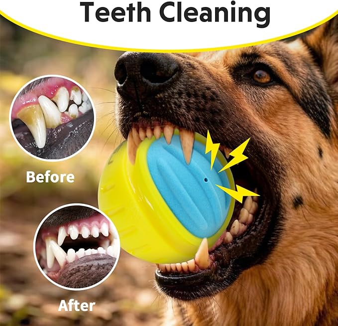 LaRoo Indestructible Squeaky Dog Ball, 3" TPR Rubber Chew Toy for Small/Medium Dogs, Floatable Teeth Cleaning Toy with Textured Grip, BPA-Free Non-Toxic for Indoor/Outdoor Fetch & Water Play (Blue)
