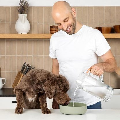 Should We Go? Dog Water Bowl - The Perfect Dish No-Spill, Less Mess Non-Tippable Water & Food Bowl, Pure Silicone with Suction Cup Fits 5 Cups 7.5" Across x 2.25" Tall, Ideal for All Pets, Medium-Sage