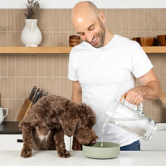 Should We Go? Dog Water Bowl - The Perfect Dish No-Spill, Less Mess Non-Tippable Water & Food Bowl, Pure Silicone with Suction Cup Fits 5 Cups 7.5" Across x 2.25" Tall, Ideal for All Pets, Medium-Sage