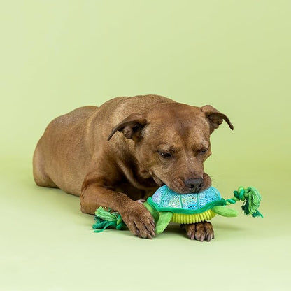 Fringe Studio SHELLO There! Plush Dog Toy, Pet Shop Collection (314373)