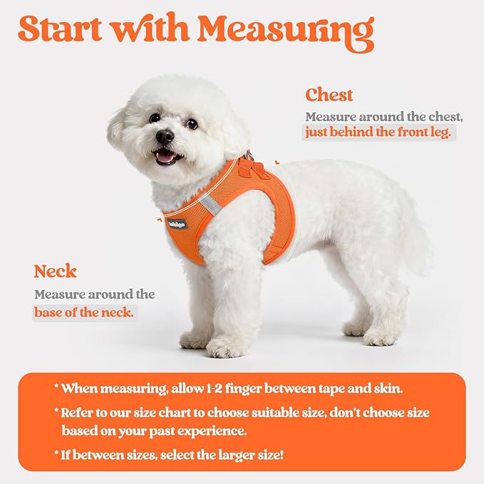 rabbitgoo Dog Harness Medium Sized and Leash Set, Step in Soft Light Puppy Vest, Breathable Mesh Pet Harness, Reflective for Safe Easy Walking, Orange XXL