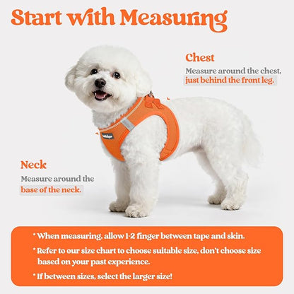 rabbitgoo Dog Harness Medium Sized and Leash Set, Step in Soft Light Puppy Vest, Breathable Mesh Pet Harness, Reflective for Safe Easy Walking, Orange XXL