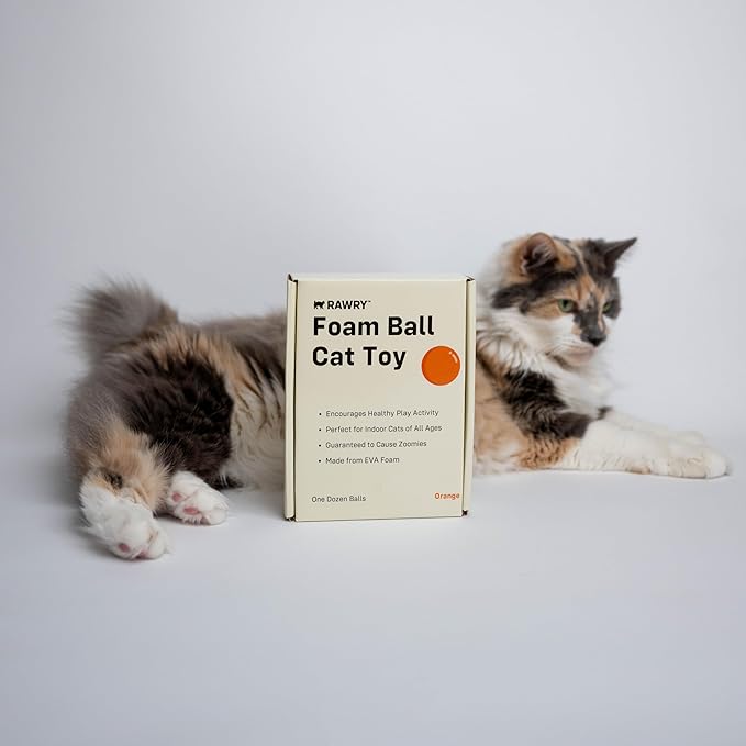 Rawry Foam Ball Cat Toy Set – 12 Foam Balls for Indoor Cats & Kittens | Soft, Durable, Bouncy Balls for Playtime & Exercise | Lightweight, Non-Toxic, Easy for Cats to Chase (12 Pack, Orange)