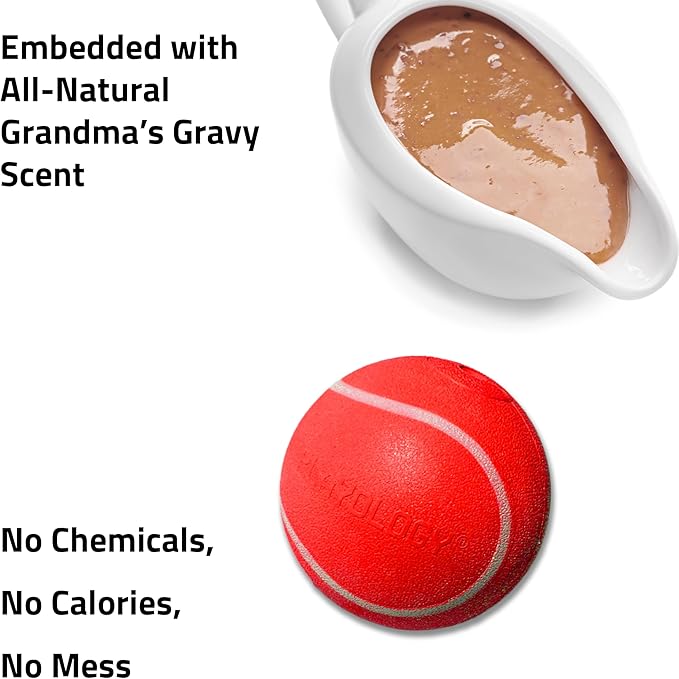 Playology Dog Toys | Squeaky Chew Ball - Bouncy Durable Floating Fetch Ball for Dogs | Medium Grandma's Gravy Scented Toy | Limited Edition Holiday Toys - Made from Non Toxic Materials
