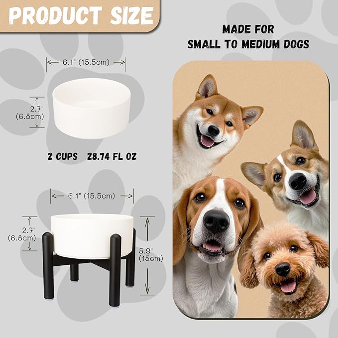 Raised Ceramic Dog Bowl - Elevated Food Water Dish with Stainless Steel Stand - for Small to Medium Dogs - 6 Inch - 2 Cups (28.75 fl oz) - White