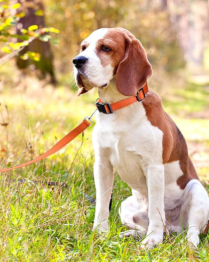FunTags Reflective Dog Collar, Sturdy Nylon Collars for Medium Girl and Boy Dogs, Adjustable Dog Collar with Quick Release Buckle, Orange