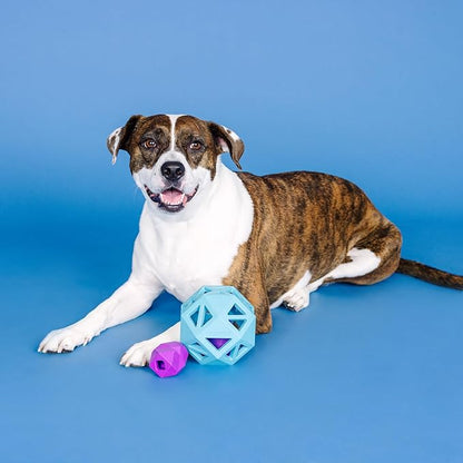 Fringe Studio Sweet ON The Inside Blue Rubber Dog Toy, Pet Shop Collection (518032)