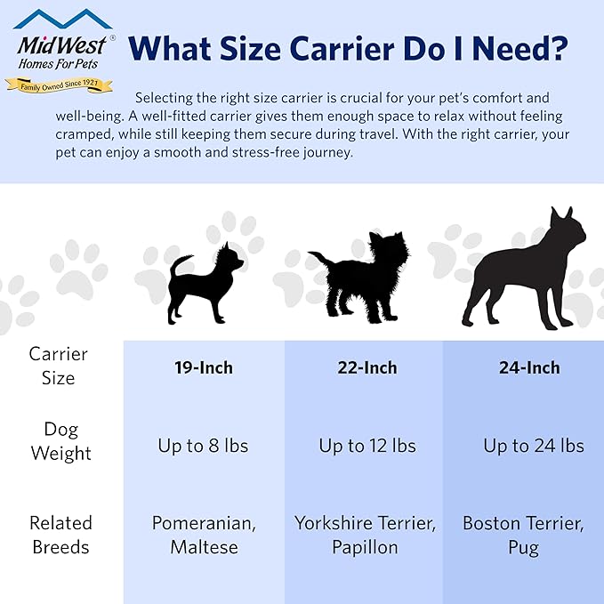 MidWest Homes for Pets Spree Travel Carrier - Hard-Sided Dog & Cat Carrier, Small Pet Travel Crate with Handle, Ventilated Design, Easy Assembly, 19-Inch, Green