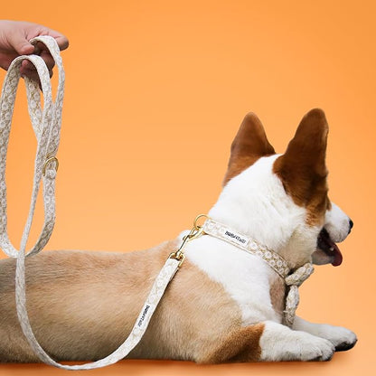5 FT Stylish Dog Leash, Soft Dog Leashes with Comfortable Padded Handle, Metal Carabiner Clip, Strong No Pull Pet Leash for Small Medium Dogs for Walking, Shopping and Running