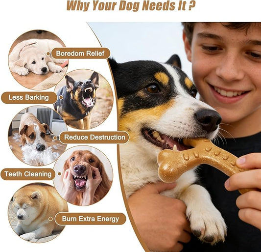 Dog Chew Toys for Aggressive Chewers, Durable Nylon & Wood Teething Toy with Chicken Flavor, Tough Chewing Dog Toys for Large Dogs (Wishbone)