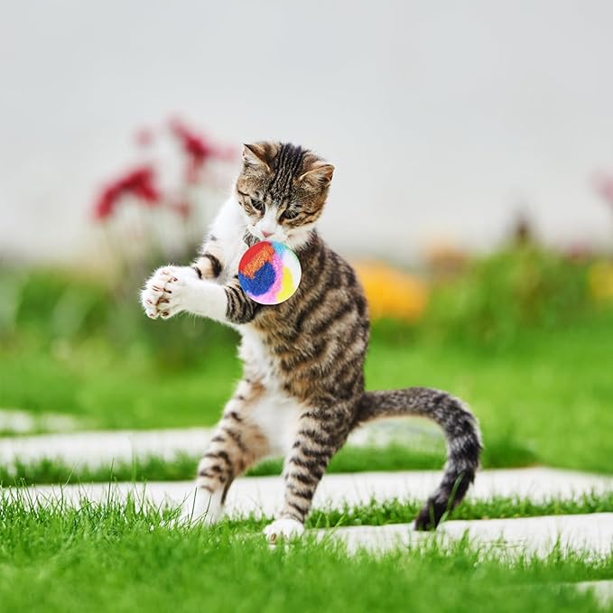 Nicunom 60 PCS Cat Pom Pom Balls, 1.7Inch Rainbow Cat Toy Balls, Soft Plush Cat Ball Fuzzy Kitty Balls Colorful Kitten Puff Ball for Pet Kitten Interactive Playing Exercising Chasing