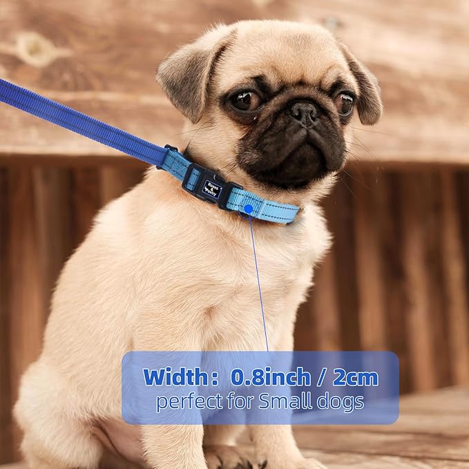 Roses&Poetry Hands Free Dog Leash for Small Dogs, All-in-One Leash & Collar 6.6-8.7ft Adjustable Waist Crossbody Leash for Dog Walking Lightweight with No Metal Clip Running Jogging