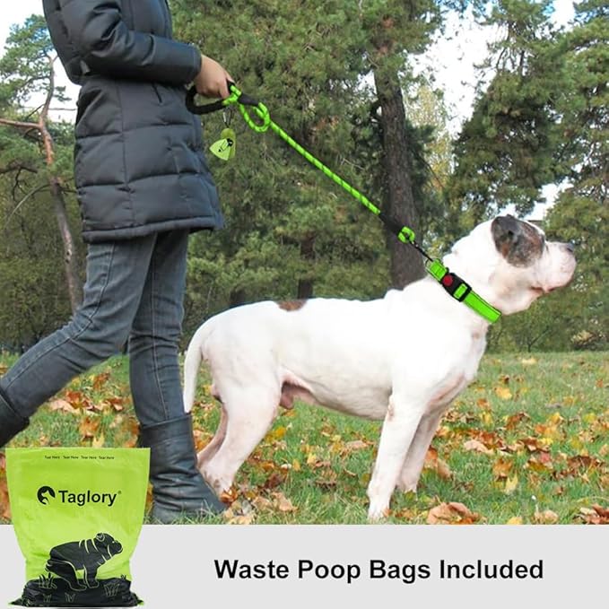 Taglory Rope Dog Leash 6 FT with Comfortable Padded Handle, Highly Reflective Threads Leash and Anti-Tangle Clip for Walking Medium Large Dogs, 1/2 inch, Green