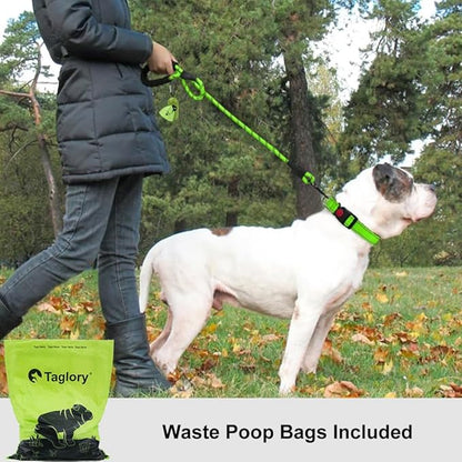 Taglory Rope Dog Leash 6 FT with Comfortable Padded Handle, Highly Reflective Threads Leash and Anti-Tangle Clip for Walking Medium Large Dogs, 1/2 inch, Green