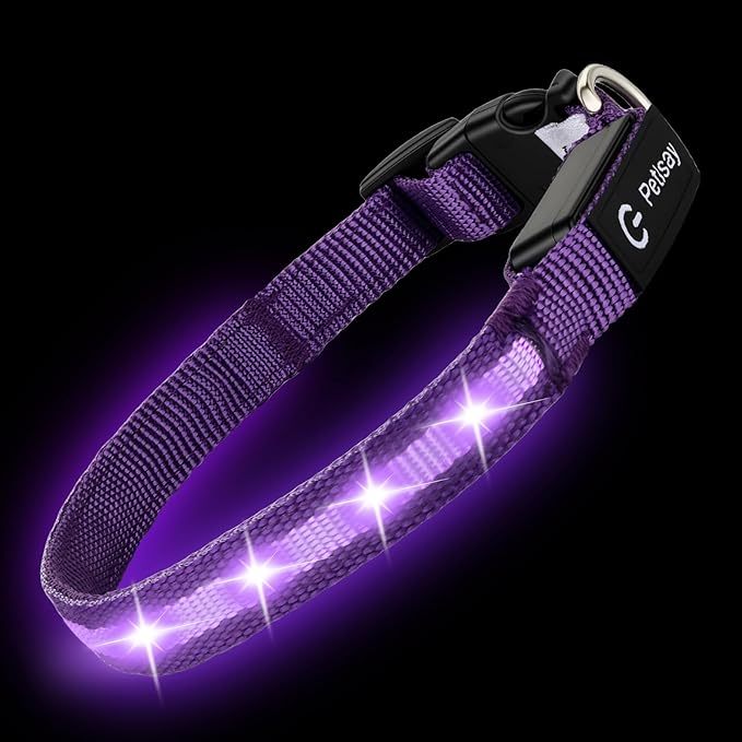 LED Dog Collar for Small Dogs & Toy Breeds – USB-C Rechargeable Light Up Dog Collar, Fully Waterproof Adjustable Glow Collar for Night Walking & Safety(Purple,S)