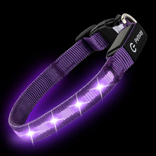 LED Dog Collar for Small Dogs & Toy Breeds – USB-C Rechargeable Light Up Dog Collar, Fully Waterproof Adjustable Glow Collar for Night Walking & Safety(Purple,S)