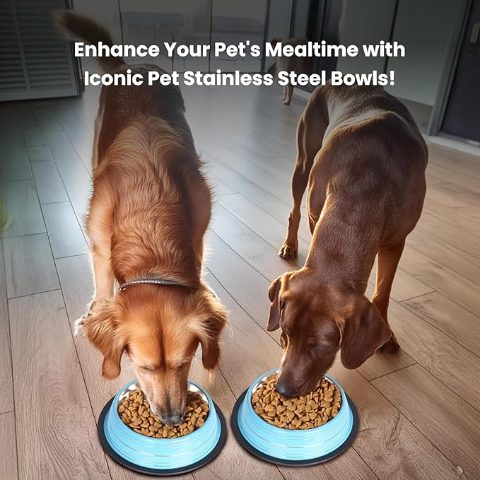 Iconic Pet Color Splash Stripe Non-Skid Stainless Steel Dog & Cat Bowl - Blue, 64 Oz, 8 Cup, Durable, Easy to Clean, Anti-Slip Feeding Dish for Food & Water, Stylish Design for Dogs and Cats