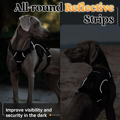 rabbitgoo Escape Proof Dog Harness with Large Handle