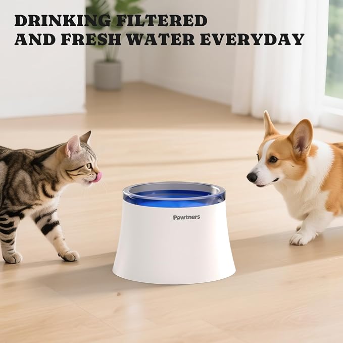 Pawtners Dog Water Fountain for Small Medium Large Dogs, 10in/6.7in Dog Fountain with Multiple Filtration, Replacement Filter for Pet Cats Dogs Water Fountains (8 Filters for 10in/6.7in Dog Fountain)