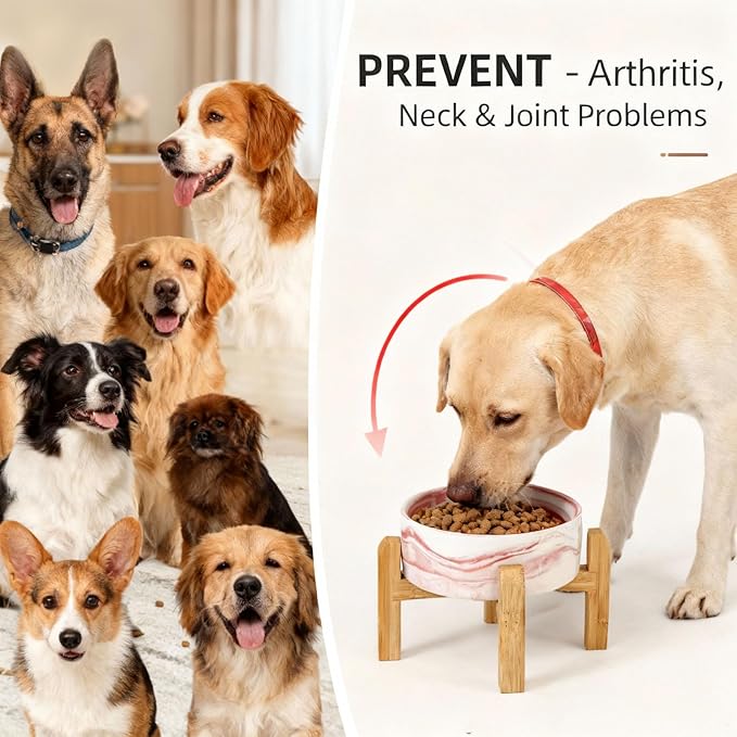 Elevated/Raised Ceramic Dog Bowl with Bamboo Stand,Marble Pattern 6 Inch 3.6 Cups Non Slip Heavy Weighted Single Pet Dish, for Small Medium Breed & Cats,Reduces Neck Strain Marble Pink
