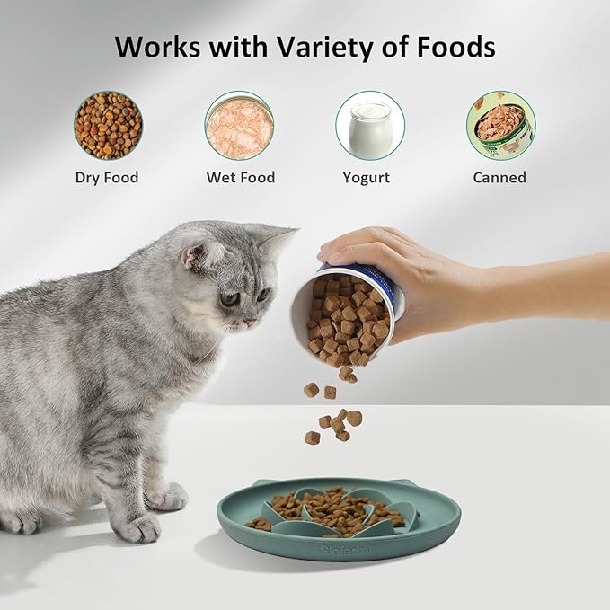 Slow Feeder Cat Bowl 2 Packs, Durable Anti-Gulping Cat Food Bowl for Healthy Digestion, Easy to Clean for Wet/Dry Food (Cyan+Yellow)