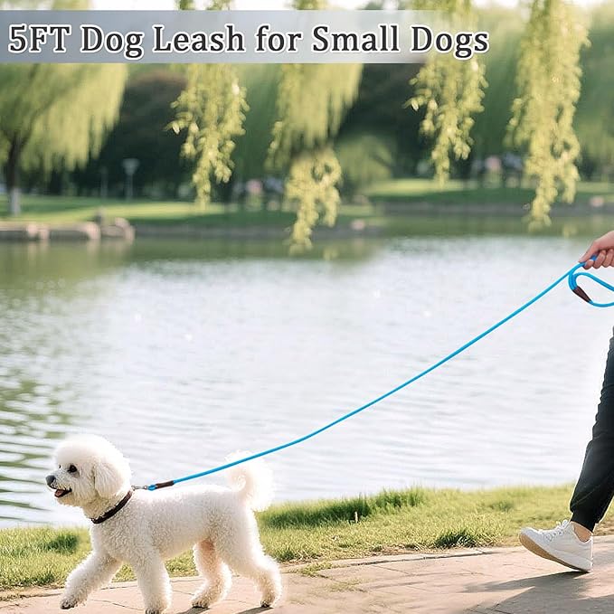 WYuZe 5ft Puppy Leash for Small Dogs, 1/4" Thin Rope Dog Leash with Easy to Use Hook, Teddy/Yorkie/Tiny Breed Lightweight Leashes-Behavioral Training Walking, 10 Colors, Blue