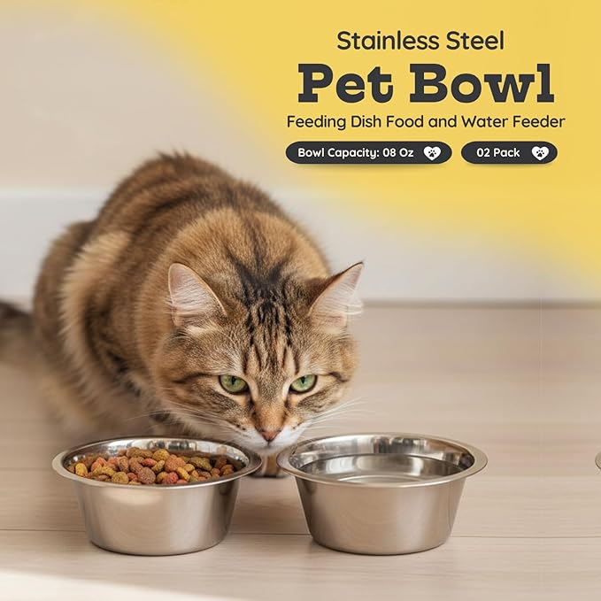 2 Pack Shallow Stainless Steel Cat & Dog Bowls, 1 Cup (8 oz) Each, Heavy Duty Small Pet Only Puppy Kitten & Birds Feeder Replacement Bowl, Rust Resistant Metal Cat Dishes for Food & Water