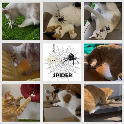 Cat Insect Feather Toys Replacement - 2 Pcs Handmade Natural Spiders - Cat Toy Wand Refills - Interactive Kitten Teaser Wand Attachments - Cat Toys for Indoor Cats Play