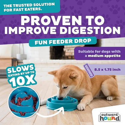 Outward Hound Fun Feeder Slo Bowl – Medium 2‑Cup Capacity,Slow Feeding,Small to Medium Dogs & Cats,Non-Slip,Turquoise,Drop Pattern,(Pack of 12)