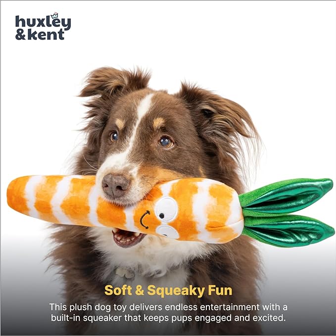 Huxley & Kent Funny Dog Toy w/Squeaker – Power Plush Squeaky Dog Toys for Small, Medium & Large Dogs – Soft Stuffed Animal for Indoor Play & Fetch - Fetchies® Sweet Carrot, Large