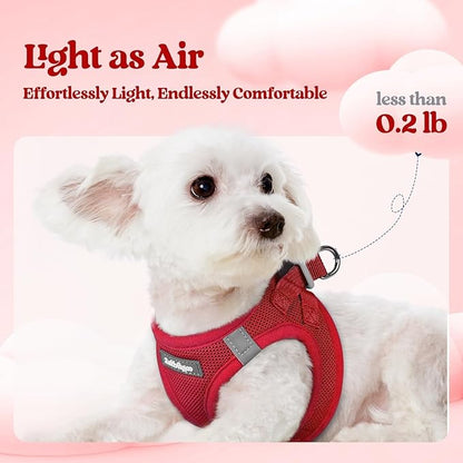 rabbitgoo Dog Harness Small Sized and Leash Set, Step in Soft Light Puppy Vest, Breathable Mesh Pet Harness, Reflective for Outdoor Safe Walking, Red XXXS