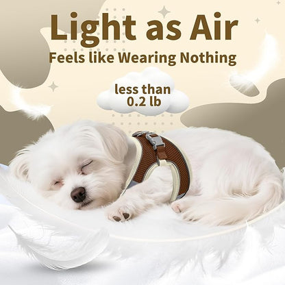 AIITLE Small Harness for Puppy with A Leash - Dog Vest Harness with Super Breathable Mesh, Reflective No-Pull Pet Harness for Outdoor Walking, Running for Small Dogs, Cats Beige XXS