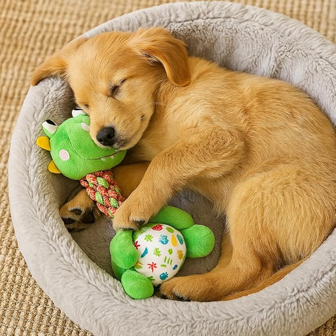 Dinosaur Rope Plush Dog Toy with Squeaker - Durable Chew & Tug Toy for Small and Medium Dogs, Teeth Cleaning & Anxiety Relief Interactive Pet Gift