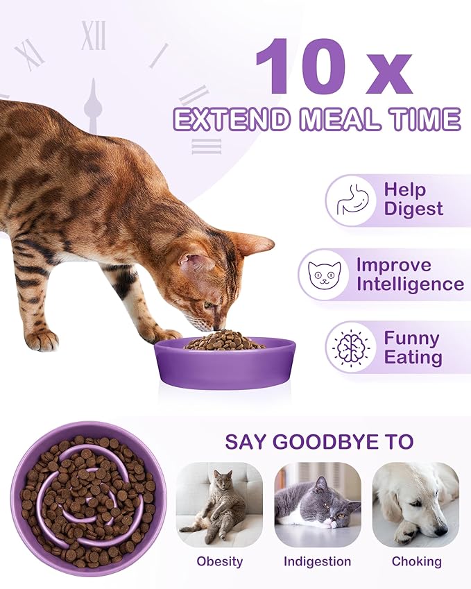 TRUVIC Ceramic Slow Feeder Dog Bowls Small Breed, 0.6 Cup Slow Feeder Cat Bowls for Fast Eaters, Ceramic Dog Food Dish no Black Chin, Puzzle Bowl for Small Dogs and Cats, Purple