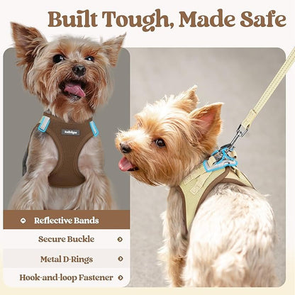 rabbitgoo Dog Harness Small Sized and Leash Set, Step in Soft Light Puppy Vest, Breathable Mesh Pet Harness, Reflective for Safe Easy Walking, Brown & Beige XS