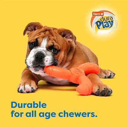Hartz DuraPlay Bacon Scented Dog Toys, Medium/Large ( Colors may vary ) All Breed Sizes
