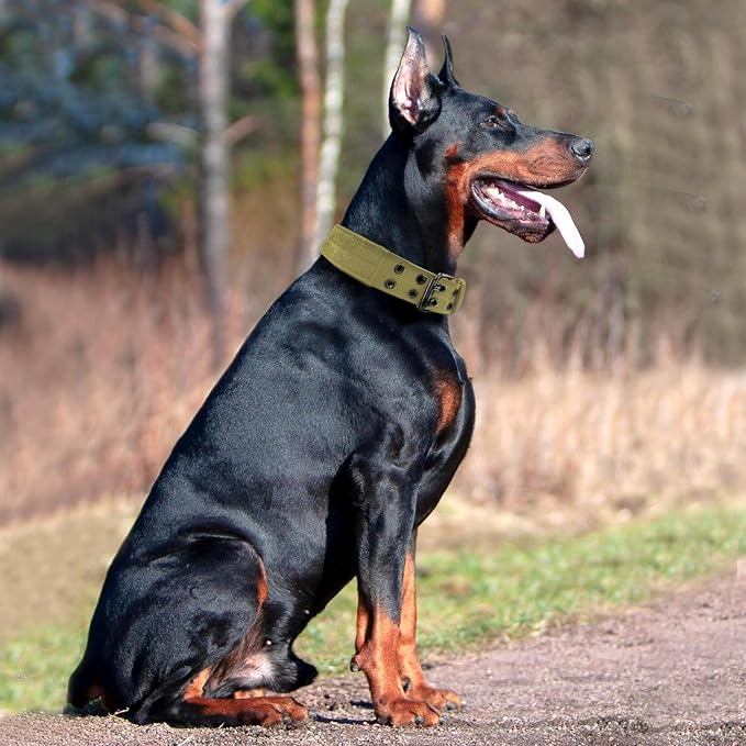 Heavy Duty Dog Collar for Large Dogs, Tactical Dog Collars with Metal Buckle & D Ring, 1.5" Width Thick Adjustable Nylon Collar for Medium Dogs, Khaki/L