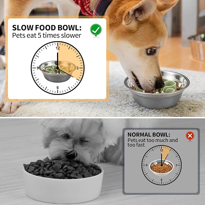 Slow Feeder Dog Bowls Insert, Bestalk Soft Silicone Slow Eating Dog Bowl Insert with Suction Cups for Small, Medium and Large Dogs(Green L)