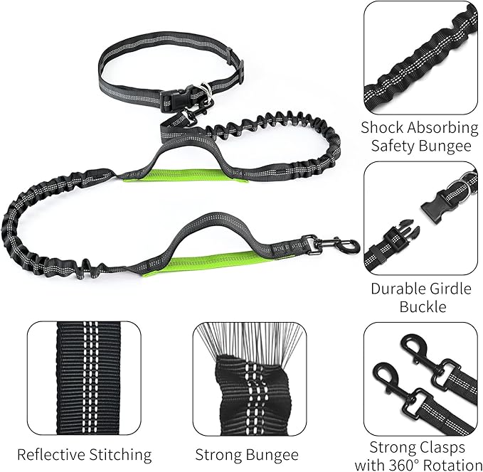 Hands Free Dog Leash with Zipper Pouch, Retractable Bungee Waist Leash with Dual Padded Handles & Waist Belt Fanny Pack for Medium & Large Dog Training Walking Running Hiking Jogging (Green)