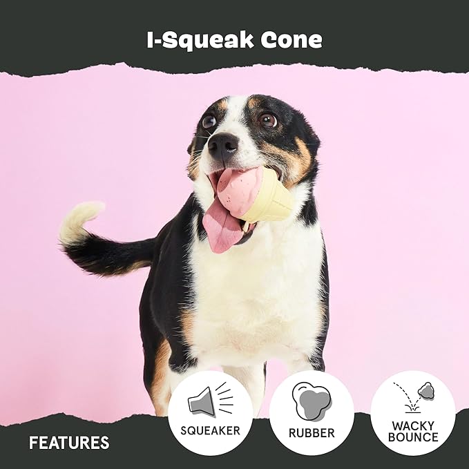 Barkbox I-Squeak Cone Dog Toy for Large Dogs, Perfect for Treat Spreading with a Wacky Bounce for Endless Playtime