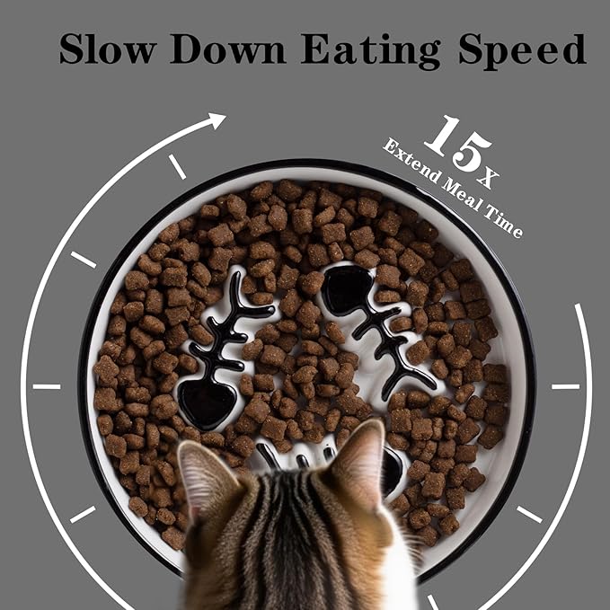 2-Pack Shallow Ceramic Cat Slow Feeder Bowls, Anti-Vomit Food Plates for Whisker Fatigue Relief, Dishwasher Safe, Anti-Acne, Black Chin Prevention, for Dry and Wet Food, Easy Daily Use
