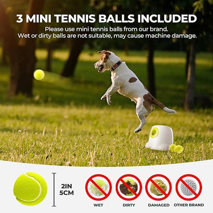 ALL FOR PAWS Automatic Dog Ball Launcher, Interactive Fetch Toy for Small to Medium Dogs, Pet Thrower Machine for Indoor & Outdoor Play, 3 Pcs 2-Inch Balls Included