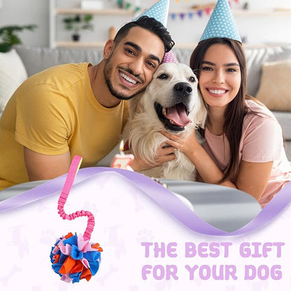Snuffle Ball with Bungee Tug, Tug of War Rope Toys for Small Medium Dogs, Interactive Dog Toys Puppy Training Pull Toy for Exercise & Interactive Play Games (Pink)