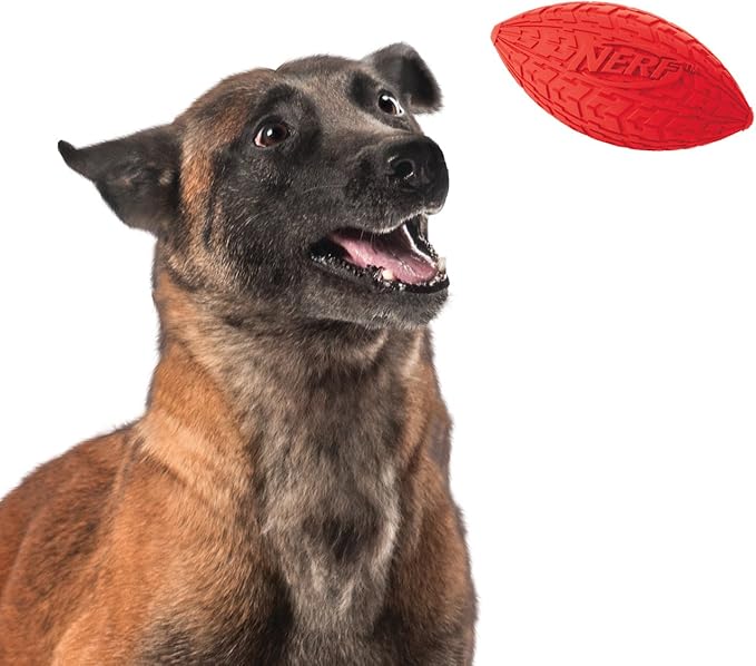 Nerf Dog Tire Football Dog Toy with Interactive Squeaker, Lightweight, Durable and Water Resistant, 6 Inch Diameter for Medium/Large Breeds, Single Unit, Red (Pack of 2)