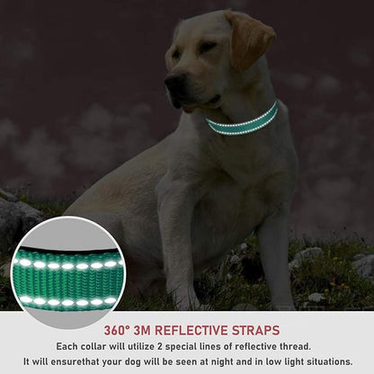 Reflective Dog Collar with Buckle Adjustable Safety Nylon Collars for Small Medium Large Dogs, Teal XS