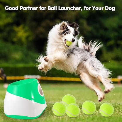 Mini Tennis Ball 12 Pack for Pet Playing Fecth, 2 inch Dog Training Tennis Balls for Small Size Dogs, Interactive Dogs Playing Balls Fits 2 Inch Automatic Dog Ball Launcher