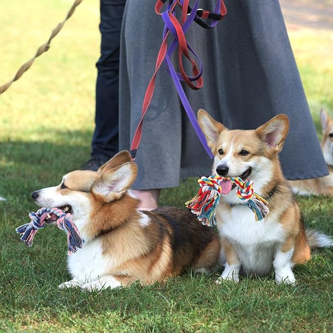 48 Pcs Dog Rope Toys Bulk for Medium and Small Dogs, Multi Color Dental Cotton Puppy Teething Toys 2 Knot Indestructible Chew Tug of War Dog Toys for Aggressive Chewers Supplies