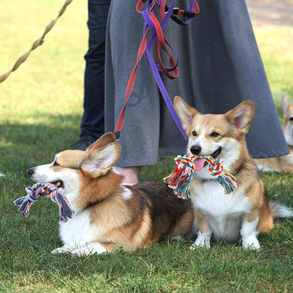 48 Pcs Dog Rope Toys Bulk for Medium and Small Dogs, Multi Color Dental Cotton Puppy Teething Toys 2 Knot Indestructible Chew Tug of War Dog Toys for Aggressive Chewers Supplies