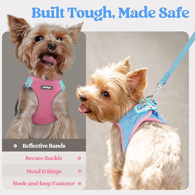 rabbitgoo Dog Harness Small Sized and Leash Set, Step in Soft Light Puppy Vest, Breathable Mesh Pet Harness, Reflective for Safe Easy Walking, Blue & Light Pink M