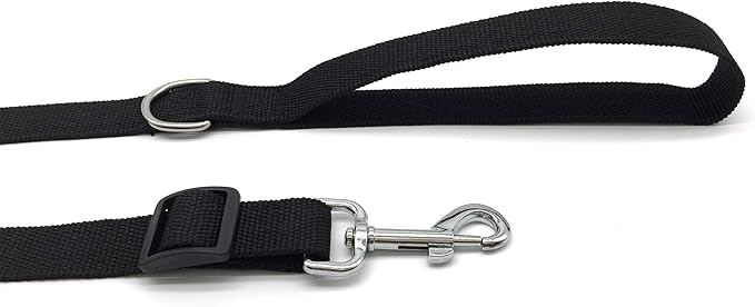 TAIAN Adjustable Nylon Dog Leash, 10 Foot Long Dog Leashes for Medium Large Dogs